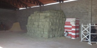 Haras - bairro dos pires de cima ( sítio )