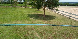 Haras - bairro dos pires de cima ( sítio )