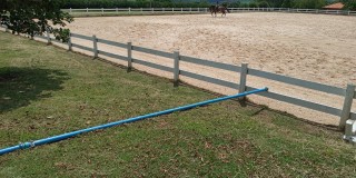 Haras - bairro dos pires de cima ( sítio )