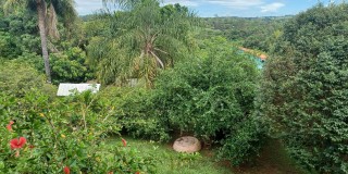 Terra com 10.600 mts  - pires de baixo