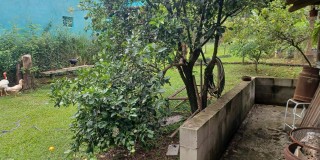 Terra com 10.600 mts  - pires de baixo