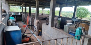 Terra com 10.600 mts  - pires de baixo