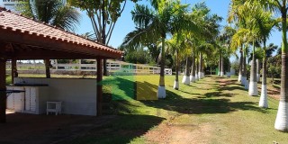 Haras venda limeira