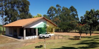 Haras venda limeira