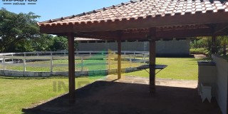 Haras venda limeira