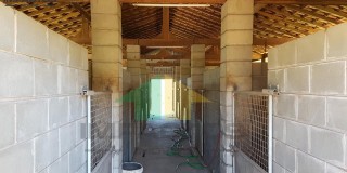 Haras venda limeira