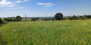 Vende-se 4.660 mts ( só terra ) bairro pinhal