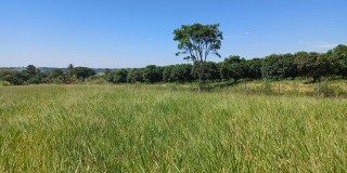 Vende-se 4.660 mts ( só terra ) bairro pinhal