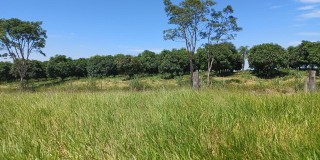 Vende-se 4.660 mts ( só terra ) bairro pinhal
