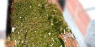Terreno parcelado à venda jardim luiz regitano, limeira-sp.