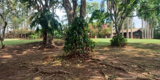 Vende sitio 24.200 mt²  excelente localização