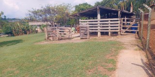 Vende sitio 24.200 mt²  excelente localização