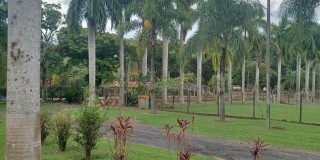 Vende sitio 24.200 mt²  excelente localização