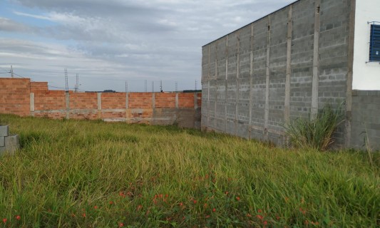 Terreno Em Avenida.