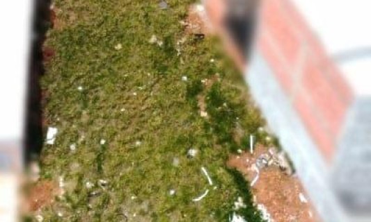 Terreno Parcelado à Venda Jardim Luiz Regitano, Limeira-sp.