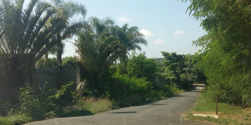 Chacara bairro pires de cima - Foto 4