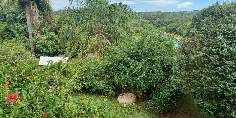 Terra com 10.600 mts  - pires de baixo - Foto 14