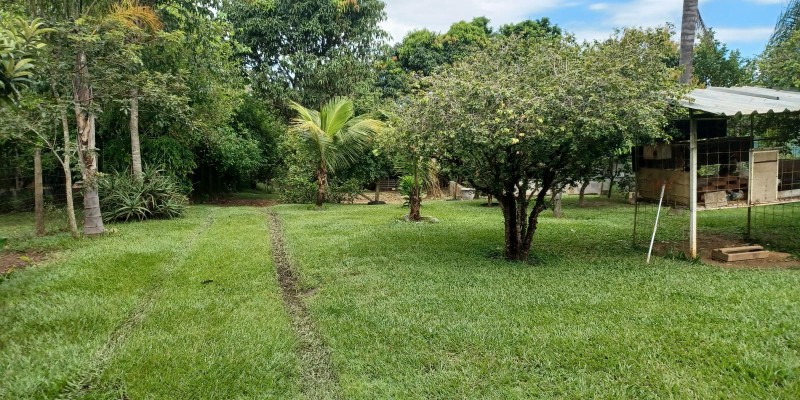Terra com 10.600 mts  - pires de baixo - Foto 20