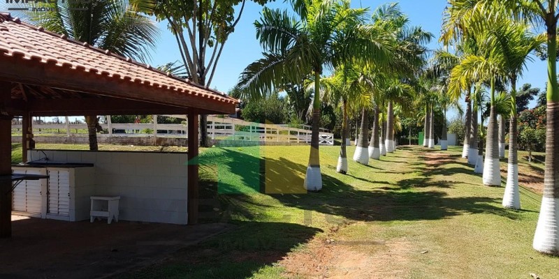 Haras venda limeira - Foto 12