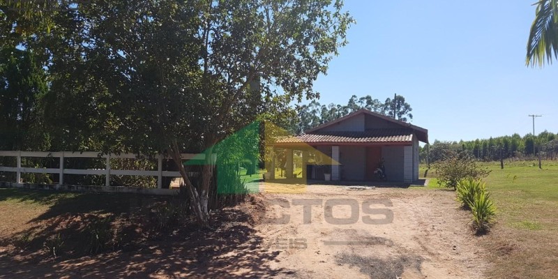 Haras venda limeira - Foto 2