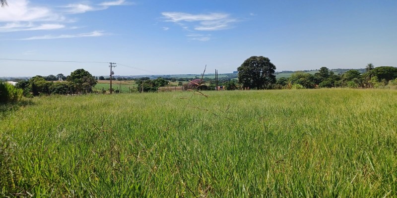 Vende-se 4.660 mts ( só terra ) bairro pinhal - Foto 0