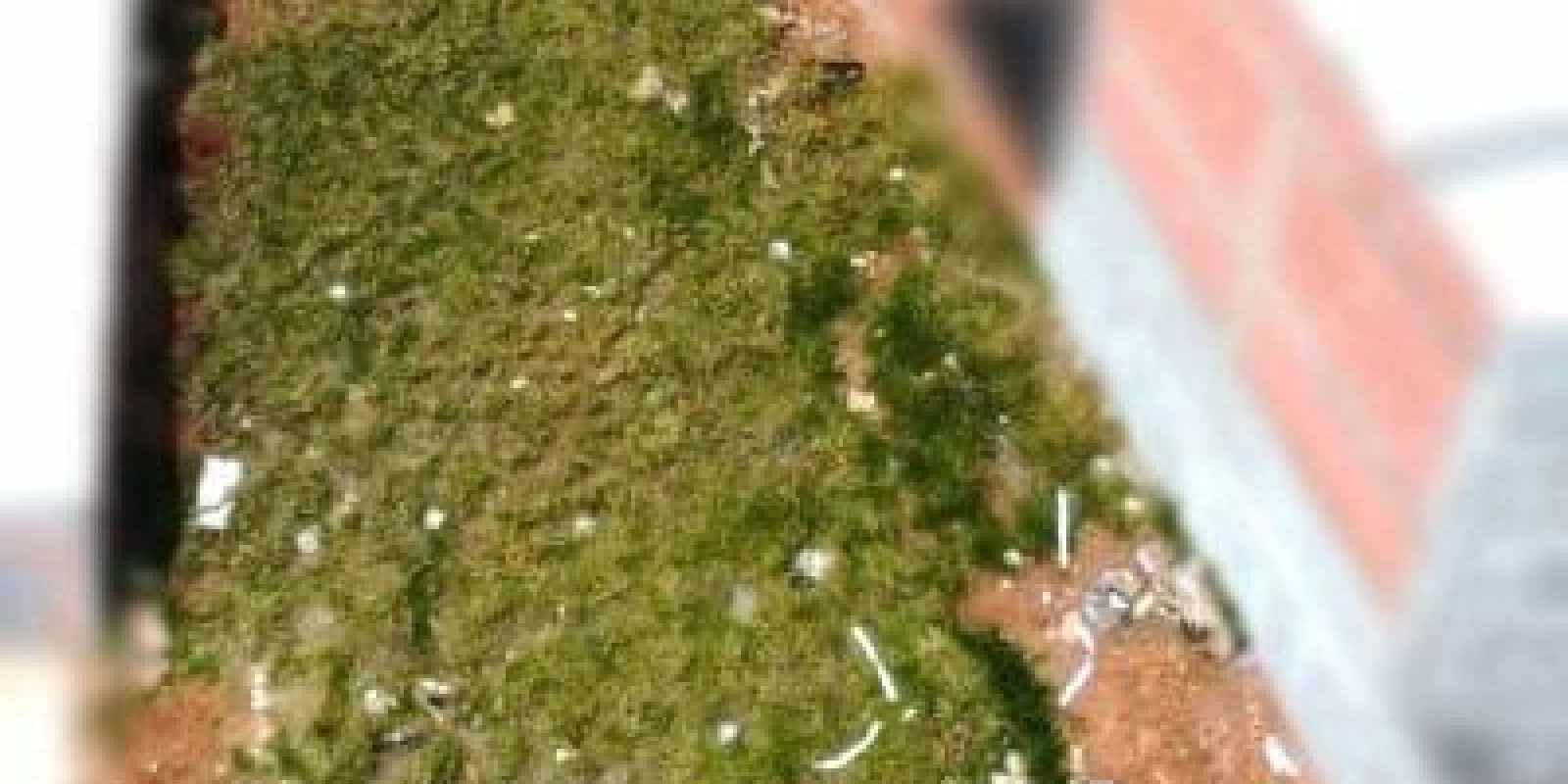 Terreno parcelado à venda jardim luiz regitano, limeira-sp.